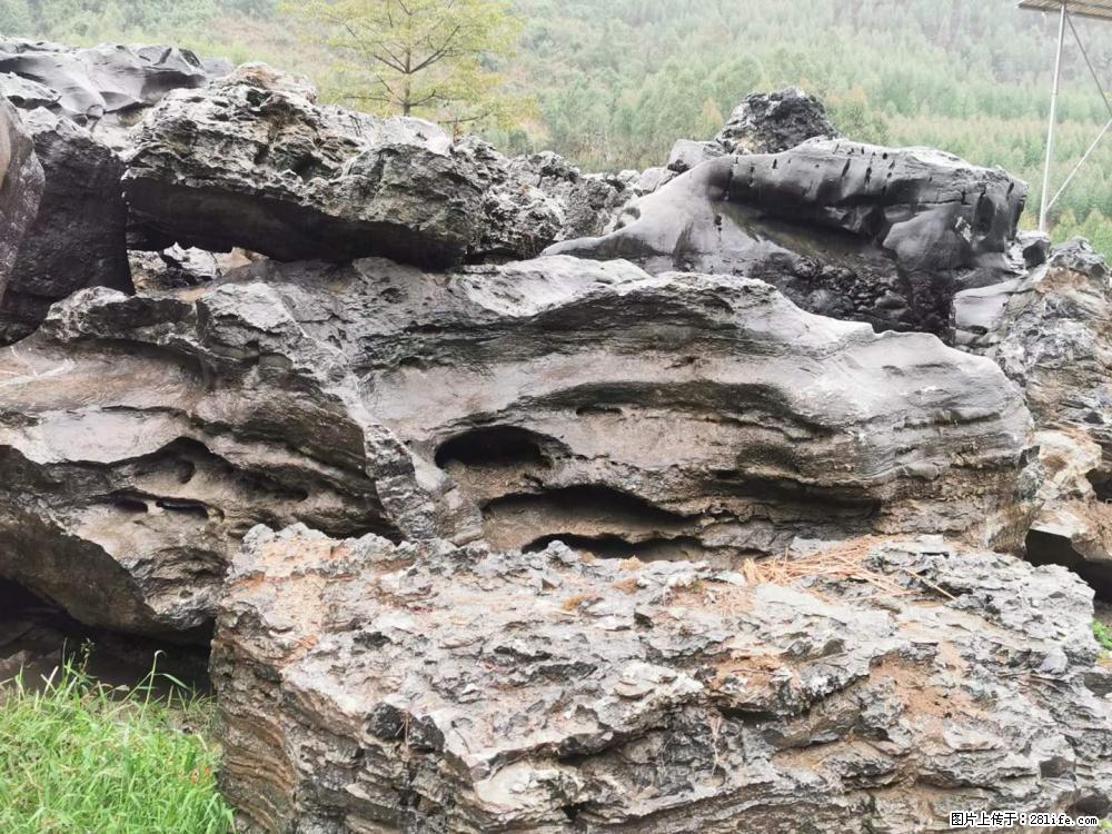 风景石、假山石大量有货,有需要的欢迎联系 - 新手上路 - 西双版纳生活社区 - 西双版纳28生活网 bn.28life.com
