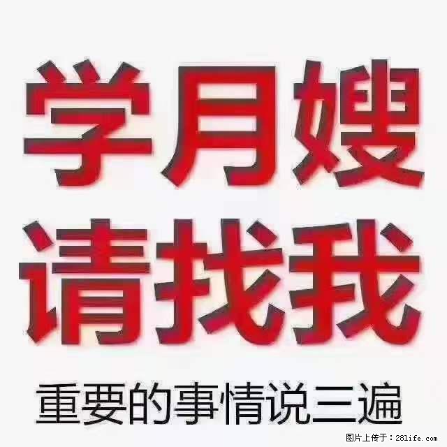 为什么要学习月嫂,育婴师? - 其他广告 - 广告专区 - 西双版纳分类信息 - 西双版纳28生活网 bn.28life.com