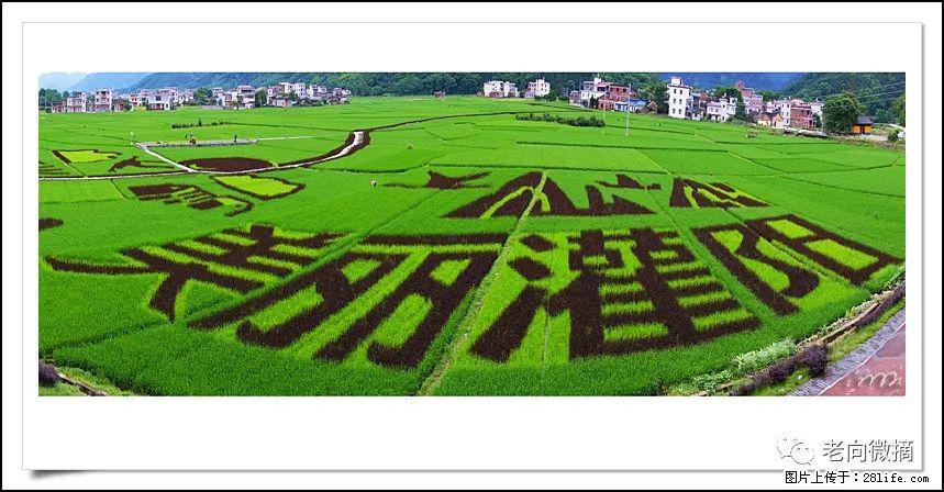 【春天，广西桂林灌阳县向您发出邀请！】开篇 - 游山玩水 - 西双版纳生活社区 - 西双版纳28生活网 bn.28life.com