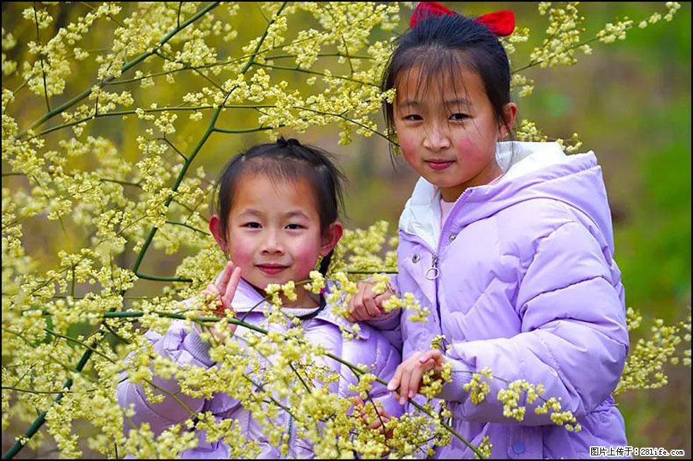 【春天,广西桂林灌阳县向您发出邀请!】米珠山前有片山苍子花在飘香 - 游山玩水 - 西双版纳生活社区 - 西双版纳28生活网 bn.28life.com
