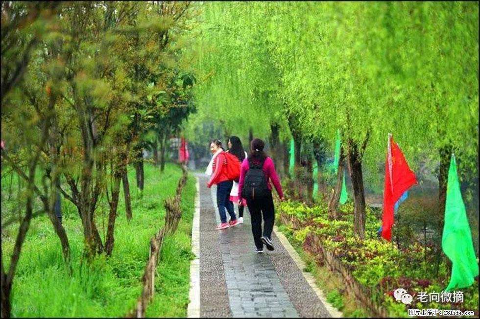 【春天,广西桂林灌阳县向您发出邀请!】江口老街又逢春 - 游山玩水 - 西双版纳生活社区 - 西双版纳28生活网 bn.28life.com