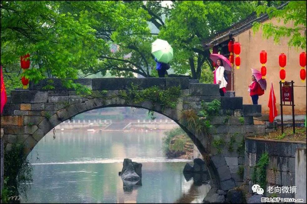 【春天,广西桂林灌阳县向您发出邀请!】江口老街又逢春 - 游山玩水 - 西双版纳生活社区 - 西双版纳28生活网 bn.28life.com