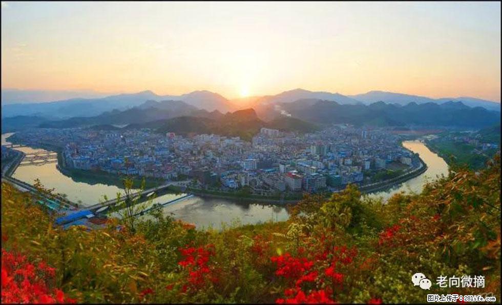 【春天,广西桂林灌阳县向您发出邀请!】登麒麟山,相约映山红 - 游山玩水 - 西双版纳生活社区 - 西双版纳28生活网 bn.28life.com
