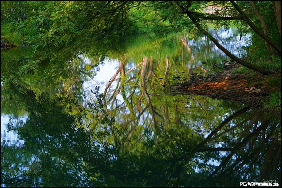 【春天,广西桂林灌阳县向您发出邀请!】熊家寨湿地公园 - 游山玩水 - 西双版纳生活社区 - 西双版纳28生活网 bn.28life.com