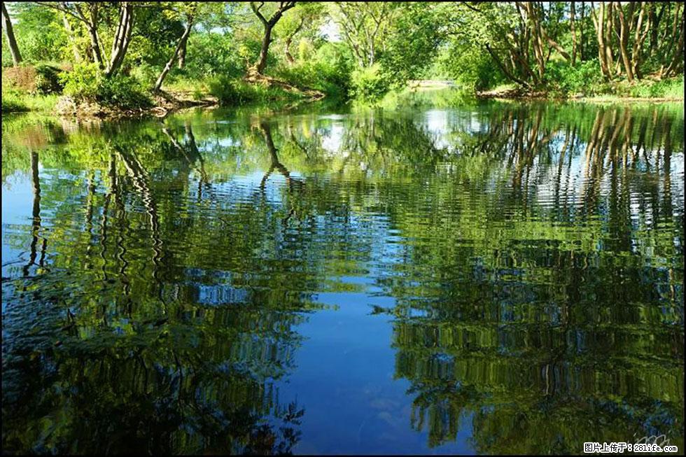【春天,广西桂林灌阳县向您发出邀请!】熊家寨湿地公园 - 游山玩水 - 西双版纳生活社区 - 西双版纳28生活网 bn.28life.com