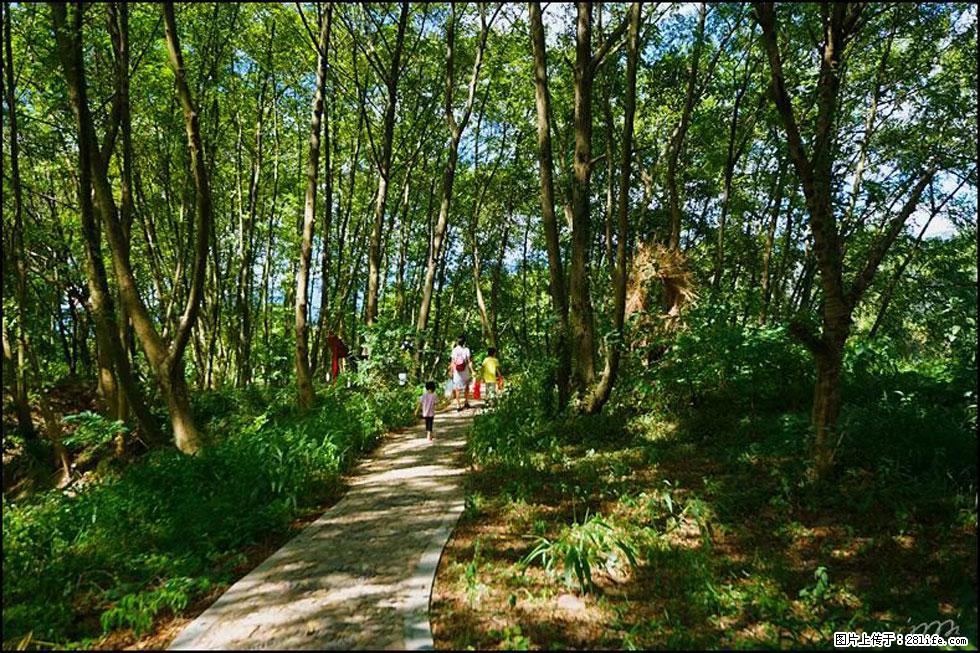 【春天,广西桂林灌阳县向您发出邀请!】熊家寨湿地公园 - 游山玩水 - 西双版纳生活社区 - 西双版纳28生活网 bn.28life.com