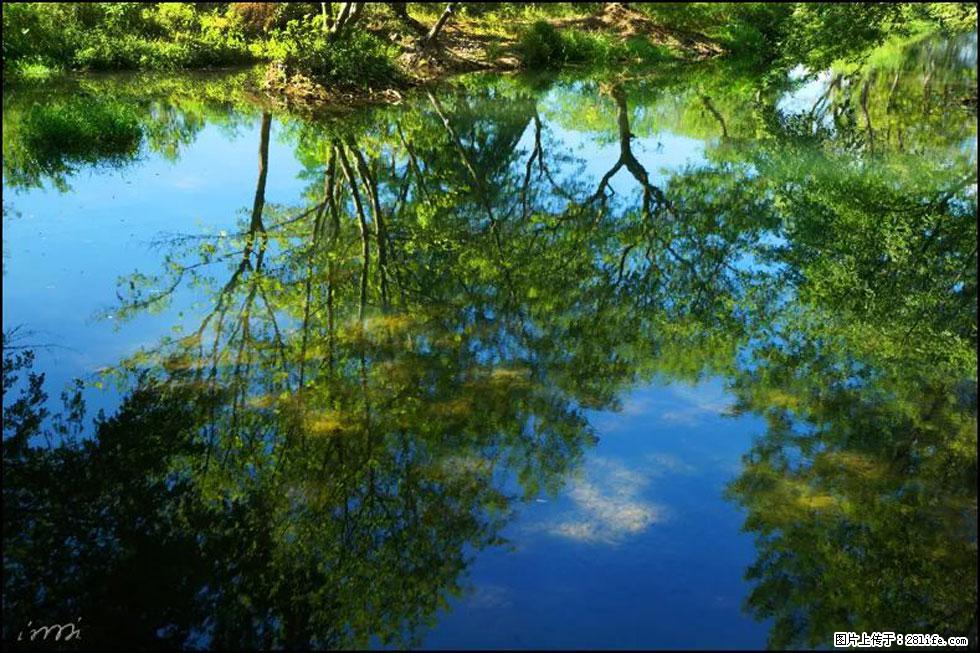 【春天,广西桂林灌阳县向您发出邀请!】熊家寨湿地公园 - 游山玩水 - 西双版纳生活社区 - 西双版纳28生活网 bn.28life.com