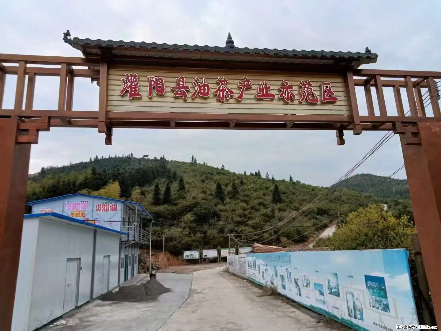 【灌阳县油茶产业示范区】一个有着充实的精神生活的人，对待身外之物自会有一种淡泊的态度 - 美食天地 - 西双版纳生活社区 - 西双版纳28生活网 bn.28life.com