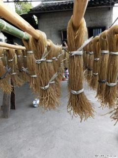 【灌阳正宗红薯粉】美女家里自己做的,干净卫生,假一赔十,价格合理,抢购电话:13737312895 - 西双版纳28生活网 bn.28life.com