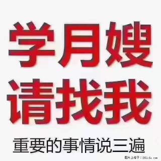 为什么要学习月嫂,育婴师? - 西双版纳28生活网 bn.28life.com