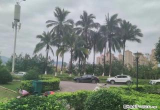 世纪金源福江苑 精装修无家具家电 均价低 房子宽 可办公自住 - 西双版纳28生活网 bn.28life.com