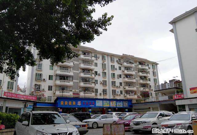 福德广场 市中心老大兴超市旁 3室2厅2卫 精装 - 房屋出租 - 房屋租售 - 西双版纳分类信息 - 西双版纳28生活网 bn.28life.com