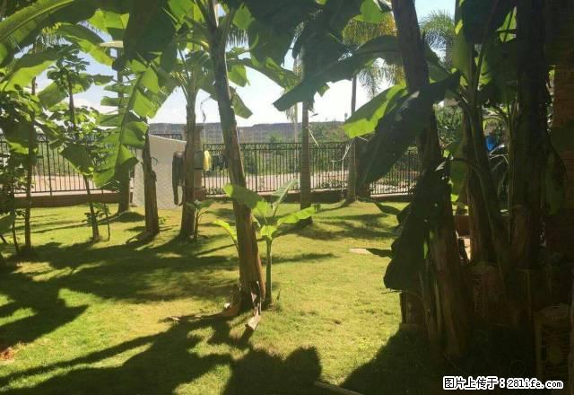 万达精装家具家电!58坪1室1厅可短租 - 房屋出租 - 房屋租售 - 西双版纳分类信息 - 西双版纳28生活网 bn.28life.com