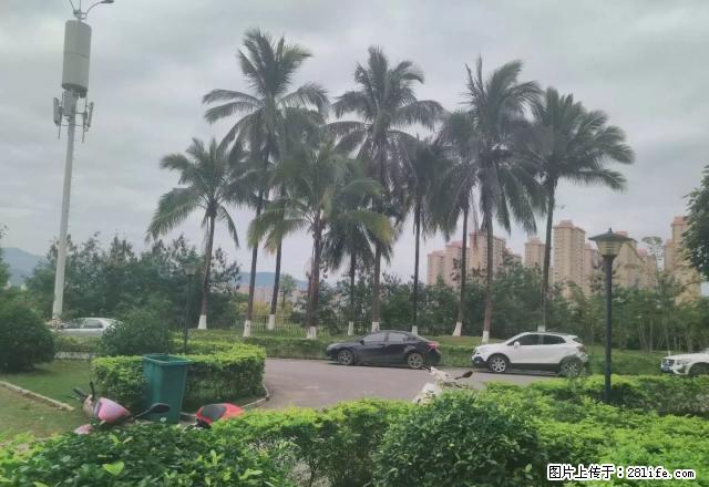 世纪金源福江苑一楼 简装两室 无家电 出租 - 房屋出租 - 房屋租售 - 西双版纳分类信息 - 西双版纳28生活网 bn.28life.com