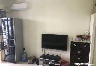 中夏置业 急租市中心 金茂港湾 精装公寓 拎包入住 随时看房 - 西双版纳28生活网 bn.28life.com