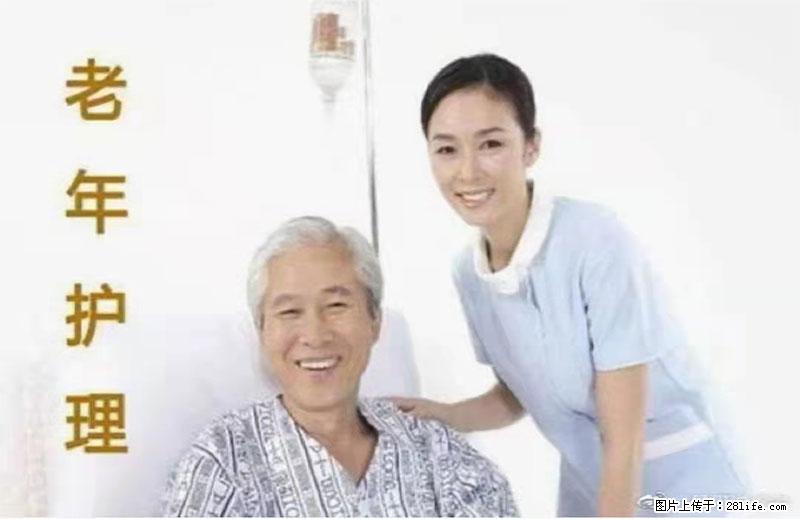 上海国企养老院,星级酒店环境,招聘养老护工 - 职场交流 - 西双版纳生活社区 - 西双版纳28生活网 bn.28life.com