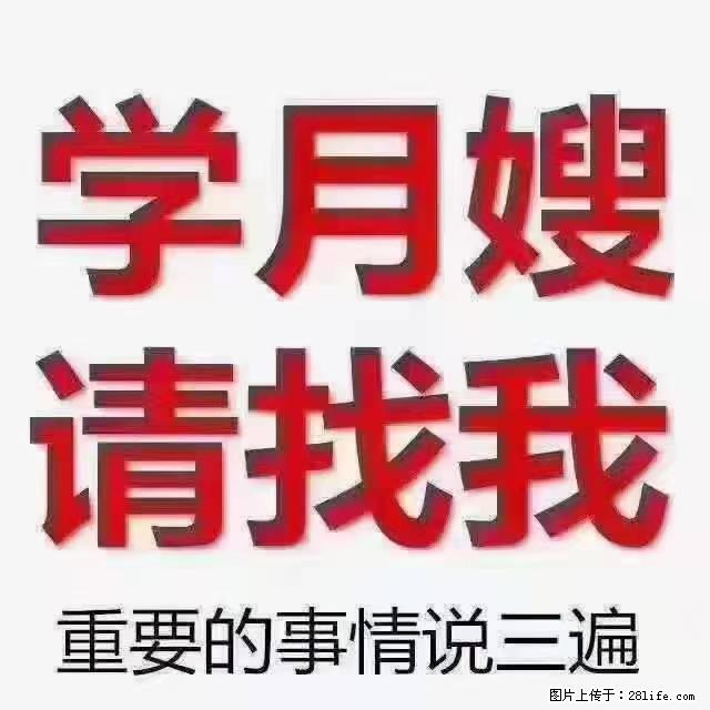 【招聘】月嫂,上海徐汇区 - 其他招聘信息 - 招聘求职 - 西双版纳分类信息 - 西双版纳28生活网 bn.28life.com