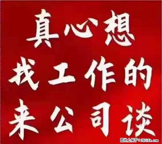 【上海】国企,医院招两名男保安,55岁以下,身高1.7米以上,无犯罪记录不良嗜好 - 西双版纳28生活网 bn.28life.com