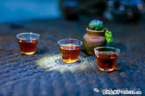 时间果百年古树2025年春红茶 - 购物交流 - 西双版纳生活社区 - 西双版纳28生活网 bn.28life.com