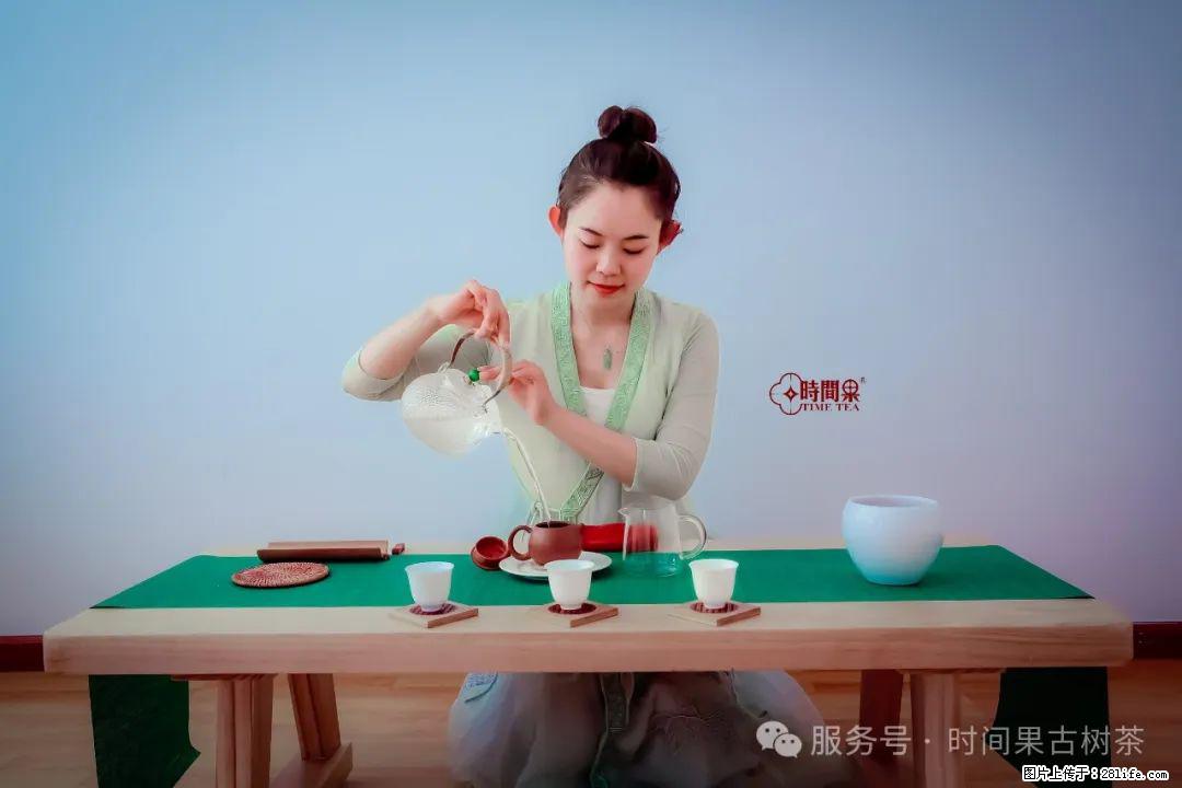 时间果百年古树龙珠普洱生茶 - 购物交流 - 西双版纳生活社区 - 西双版纳28生活网 bn.28life.com