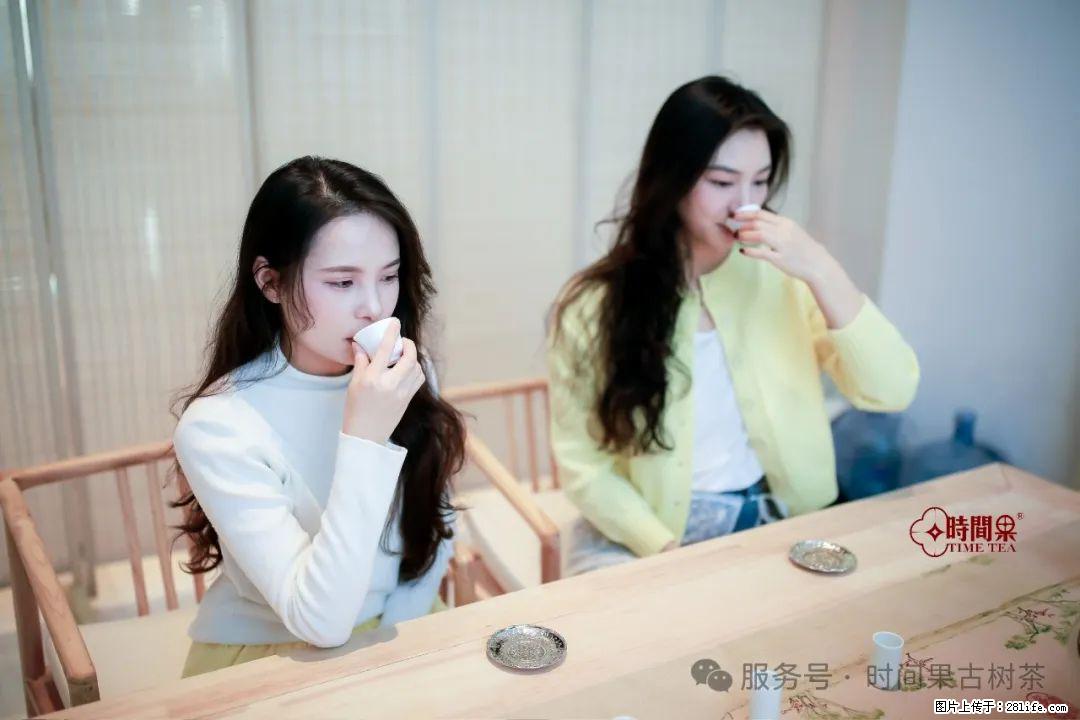 时间果百年古树龙珠普洱生茶 - 购物交流 - 西双版纳生活社区 - 西双版纳28生活网 bn.28life.com