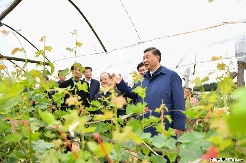习近平赴广西考察调研 - 西双版纳生活资讯 - 西双版纳28生活网 bn.28life.com
