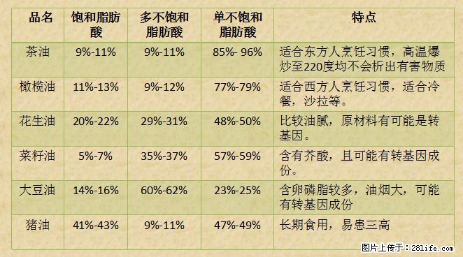 揭秘茶油的5大核心营养成分!被称为人体健康的“守护盾”! - 西双版纳生活资讯 - 西双版纳28生活网 bn.28life.com