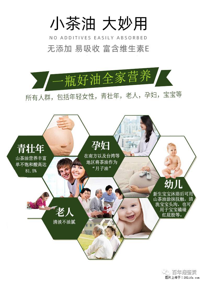 世界没有真相,只有认知,最好的食用油是中国的山茶油! - 西双版纳生活资讯 - 西双版纳28生活网 bn.28life.com