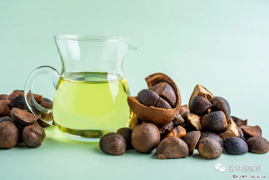世界没有真相，只有认知，最好的食用油是中国的山茶油！ - 西双版纳生活资讯 - 西双版纳28生活网 bn.28life.com