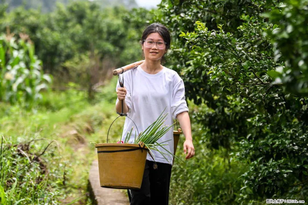 全网追的“扁担女孩”，找了一份暑假工，时薪12元 - 西双版纳生活资讯 - 西双版纳28生活网 bn.28life.com
