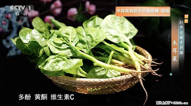 比牛奶补钙还厉害！凉血解毒、稳血糖...这菜冬天必吃，很多人却当草 - 西双版纳生活资讯 - 西双版纳28生活网 bn.28life.com