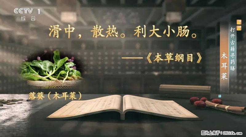 比牛奶补钙还厉害！凉血解毒、稳血糖...这菜冬天必吃，很多人却当草 - 西双版纳生活资讯 - 西双版纳28生活网 bn.28life.com