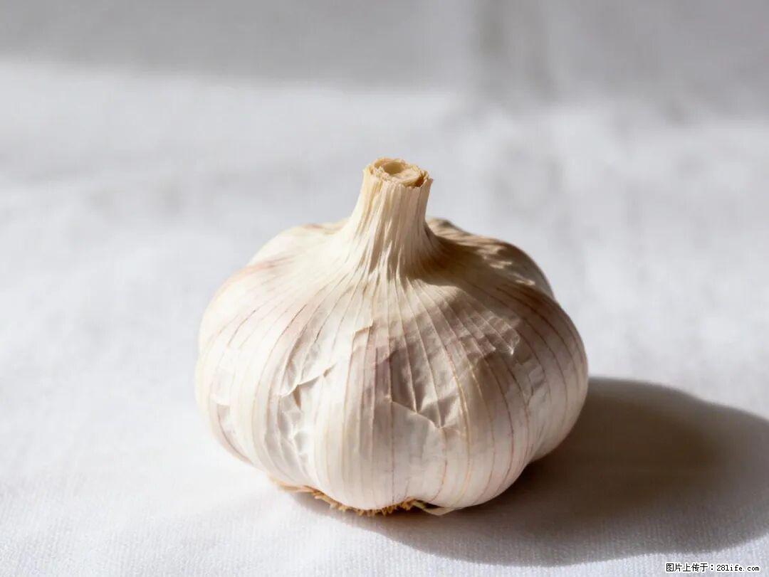 关于大蒜，除了“天然抗生素”，这4个谣言更该警惕! - 西双版纳生活资讯 - 西双版纳28生活网 bn.28life.com