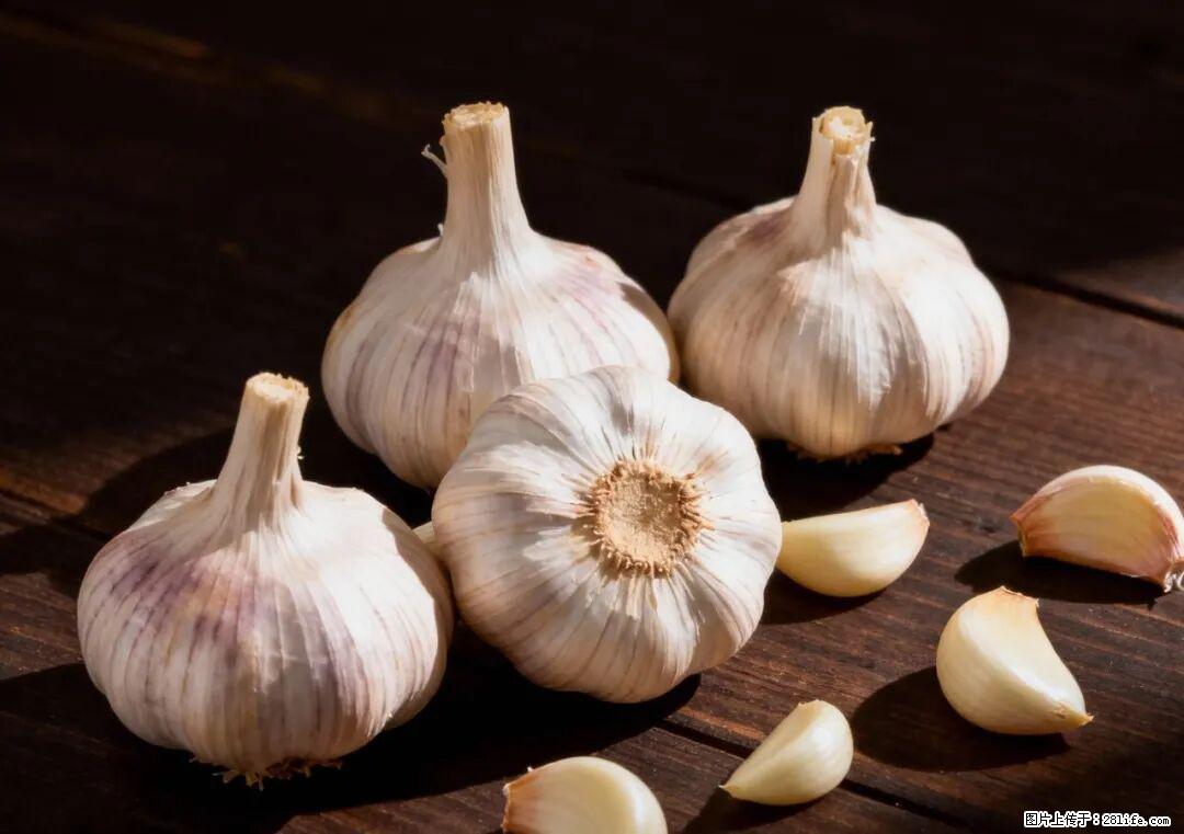 关于大蒜，除了“天然抗生素”，这4个谣言更该警惕! - 西双版纳生活资讯 - 西双版纳28生活网 bn.28life.com